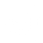 Daily Healing Massage